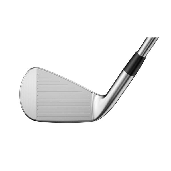Mizuno Pro 225 Iron Set Steel - Image 4