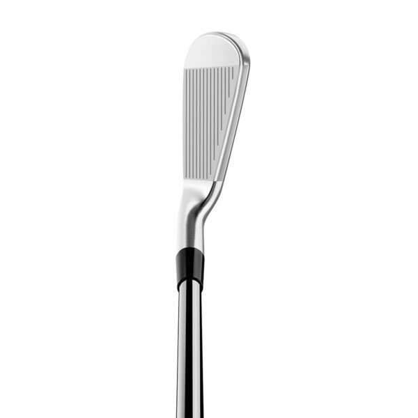 TaylorMade P790-25 Irons - Custom - Image 2
