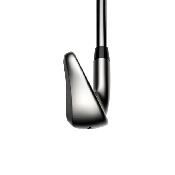 Cobra DS Adapt Irons - Custom - Image 4