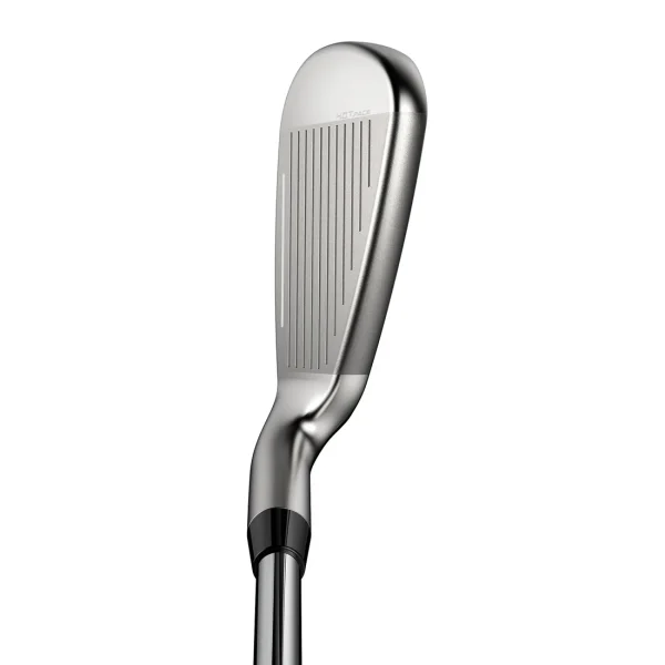 Cobra DS Adapt Max Irons - Custom - Image 3