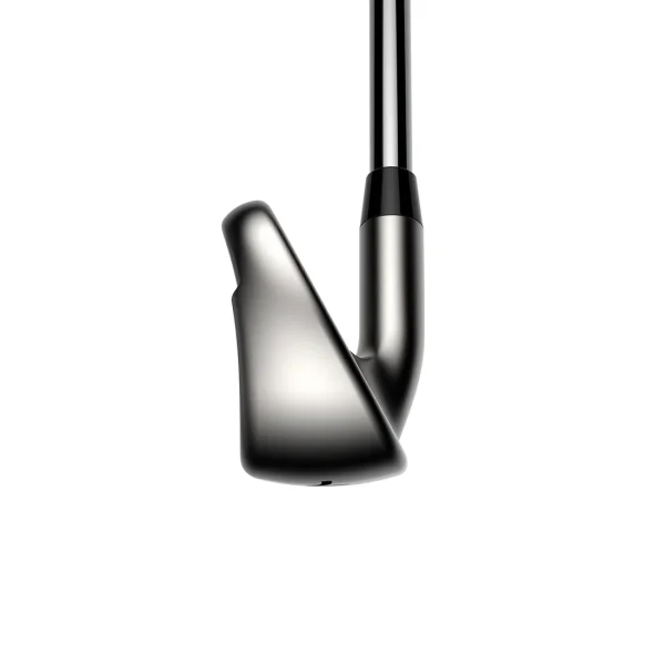 Cobra DS Adapt Max Irons - Custom - Image 4